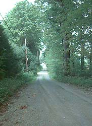 WW 5K, last straight-of-way
