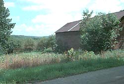 WW 5K, past Goodell orchards